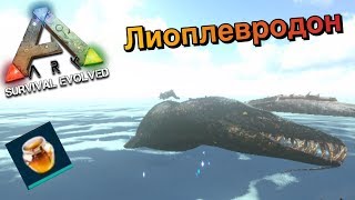Ark survive evolved mobile | Приручаем Лиоплевродона | Встретил Альфа мозазавра  !