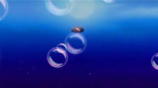 Korean romantic love story movie english sub heart touching