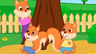 Famille d'Écureuil - Cache-Cache De Maman Animé 2022 en Français