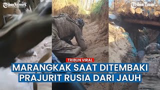 Tentara Ukraina Serang Balik Pasukan Rusia di Hutan Kremennaya