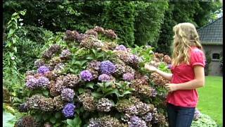 Mariska - Mijn vader