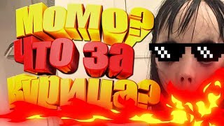 Момо? Что за курица? (Whatsapp)