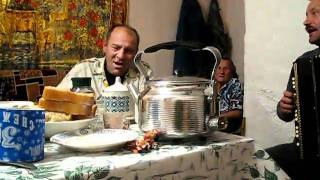 Иван Н. Шестаков. Под баян и ложки