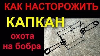 Как поставить капкан - Охота на бобра - Рамочный капкан