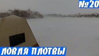 В метель клюет Отлично! Ловля плотвы на Спагетти и Тесто. Рыбалка в палатке.