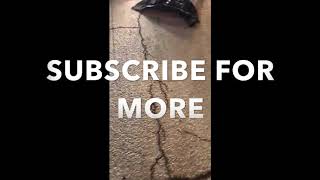 Two girls fight  2019 ###