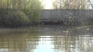 Рейд по Клязьме 28.04.2012