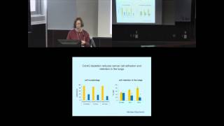 Roles of Rho GTPases in leukocyte and cancer cell transendothelial migration