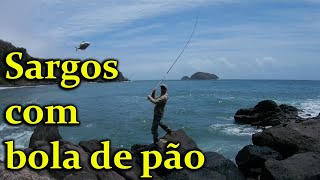 Pesca de sargos 04 06 2016