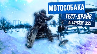 МОТОСОБАКА РВЁТ ПУХЛЯК! ТЕСТ-ДРАЙВ МОТОСОБАКИ С ЛЫЖНЫМ МОДУЛЕМ! СНЕГОХОД  КУРИТ В СТОРОНЕ!