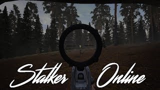 Stalker Online: Под прицелом