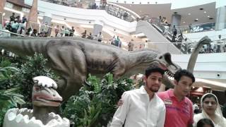 Bahaduri bazaar district maharajgang