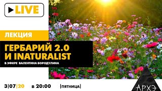 Прямой эфир "Гербарий 2.0 и iNaturalist"