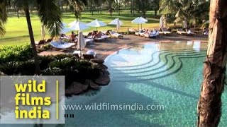 Poolside: Lotus Beach Resort, Goa