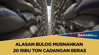 Alasan Bulog Musnahkan 20 Ribu Ton Cadangan Beras | Katadata Indonesia