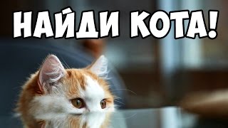 Найди кота, часть 6 ? БУДЬ В КУРСЕ TV