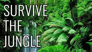 How to Survive the Jungle - EPIC HOW TO