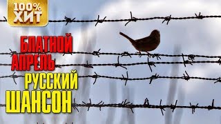 ? ХИТ - БЛАТНОЙ АПРЕЛЬ - ЗАБЛАТУЙ АПРЕЛЬ - БЛАТНОЙ ШАНСОН 2019