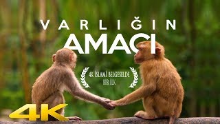 Varlığın Amacı ve İslam Dini (4K BELGESEL)