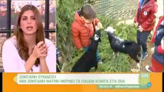 Paradise Park Athens - Παρουσίαση του Paradise Park Athens στον Alpha στο Happy Day