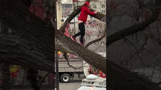Naked Guy Falls From Tree At CHIEFS SUPERBOWL PARADE 2020