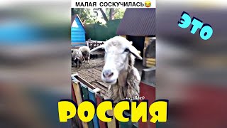 ЭТО РОССИЯ ??? 2019 #90 ??? ЛУЧШИЕ НОВЫЕ СМЕШНЫЕ ВИДЕО