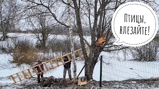 Сколько нужно бабушек, чтобы вколотить скворечник в дерево?