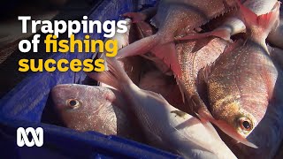Trappings of professional trap fishing success ? | Landlife