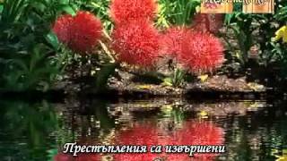 Детям Беслана - нашид Сами Юсуф