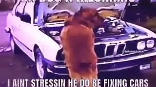 Da dog a mechanic (turn down volume kinda loud)