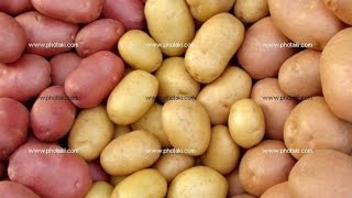 РАЗМНОЖЕНИЕ КАРТОФЕЛЯ СУПЕР ЭЛИТЫ делением клубня