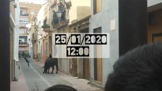 Sant Antoni 2020- Pobla de Farnals, Valencia.