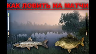 Работают ли матчи ? Как выставить глубину