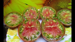 Томат Медная река поразит вас своей красотой и деликатесным вкусом ! Обзор томата в теплице.