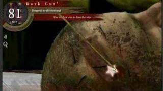 Dark Cut 2 Operation 2