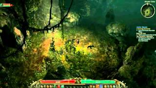 Grim Dawn - Securing Burrwitch