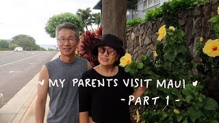 My Parents Visit Maui (Part 1) | Jenn Rogers