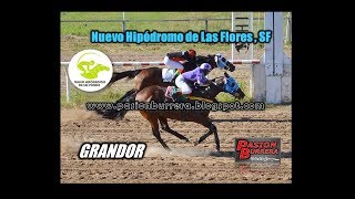 Grandor, Nuevo Hipódromo de Las Flores (11-03-18)