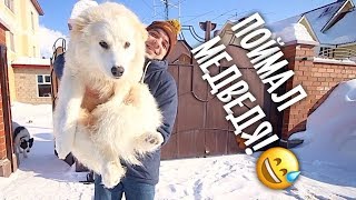У собаки нашли пулю! Биле снится Тузик, ее друг!