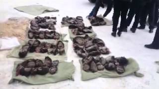 В Приморье у браконьеров изъяли 527 медведьих лап