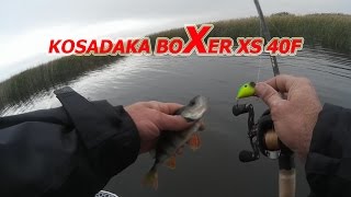 Kosadaka Boxer XS 40F. Обзор. Первые Впечатления От Ловли.