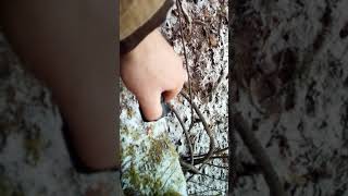 Прицел на карабине вепрь 308win