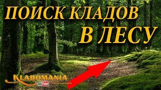 ПОИСК КЛАДОВ С ЛЕСУ. Коп монет в лесу. Часть 1 ??? Кладомания
