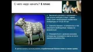 Как показывать маркетинг-план новичкам.