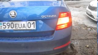 Активация функций Skoda Octavia A7. Перемигивание задние Повороты Габариты