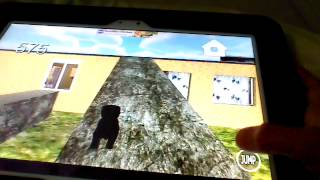 Kitten cat simulator: Steve is outside????