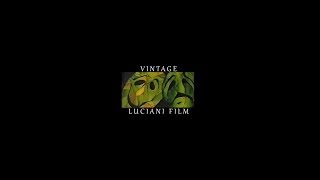 Vintage Luciani Film TEASER