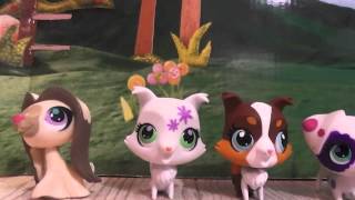 *LPS: Моя коллекция лпс 2014 / My LPS Collection 2014*
