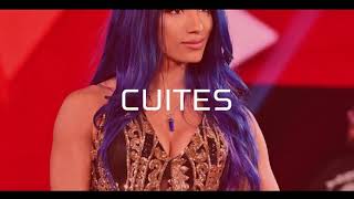 WWE Divas Wedgie and Spank Compilation Special Video