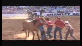 wild horse racing